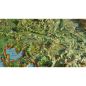 Preview: La Provence-Alpes-Cotes d'Azur Detailansicht