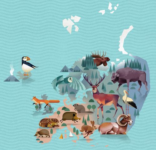 Preview: Detailansicht von Europa